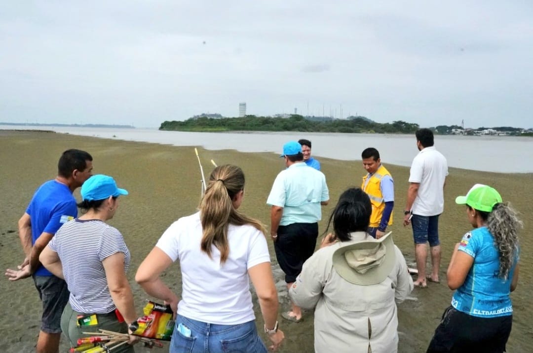 DGAC toma medidas para mitigar el peligro aviario en Guayaquil