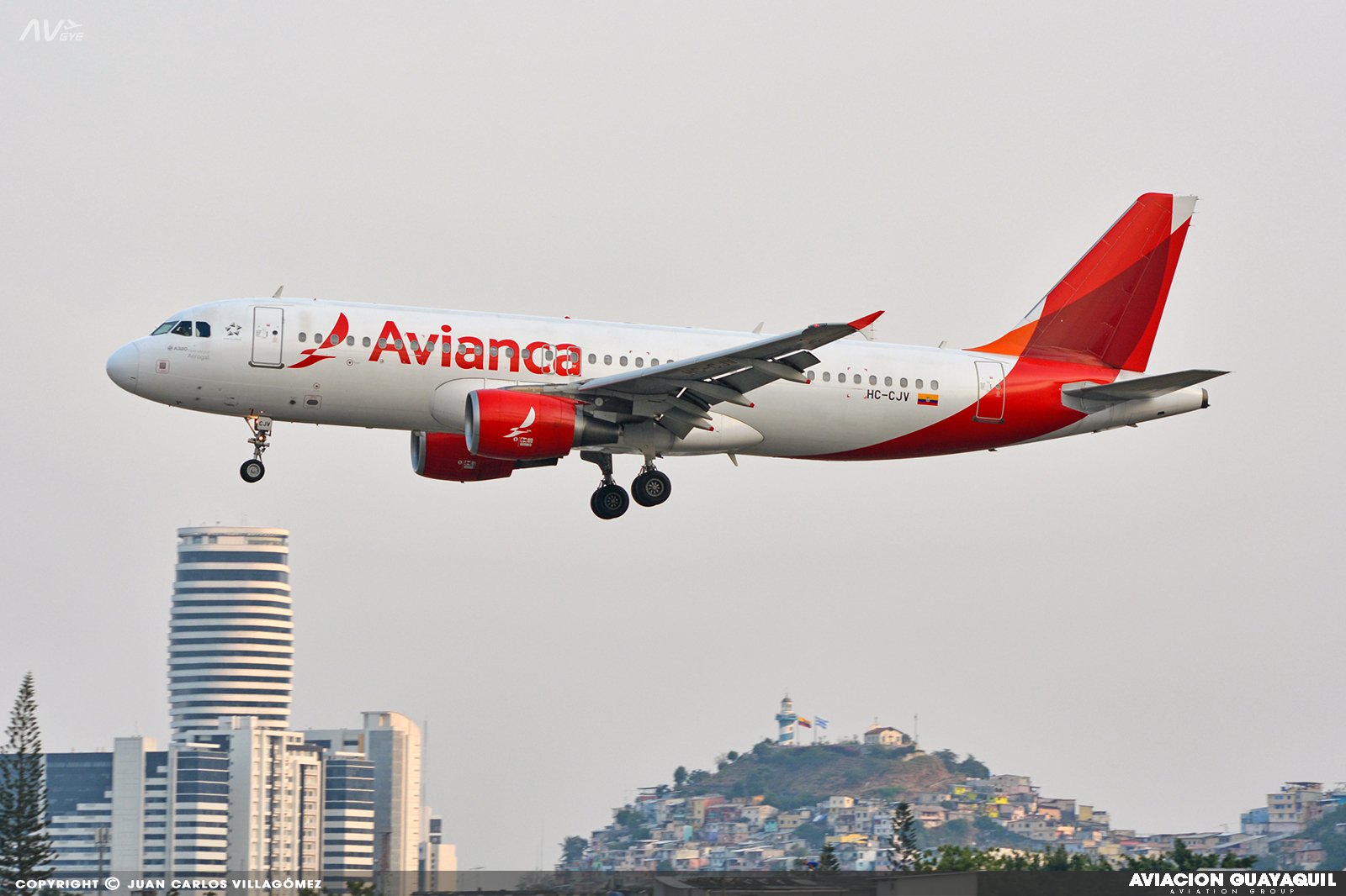 Más vuelos de Avianca para Ecuador en temporada festiva